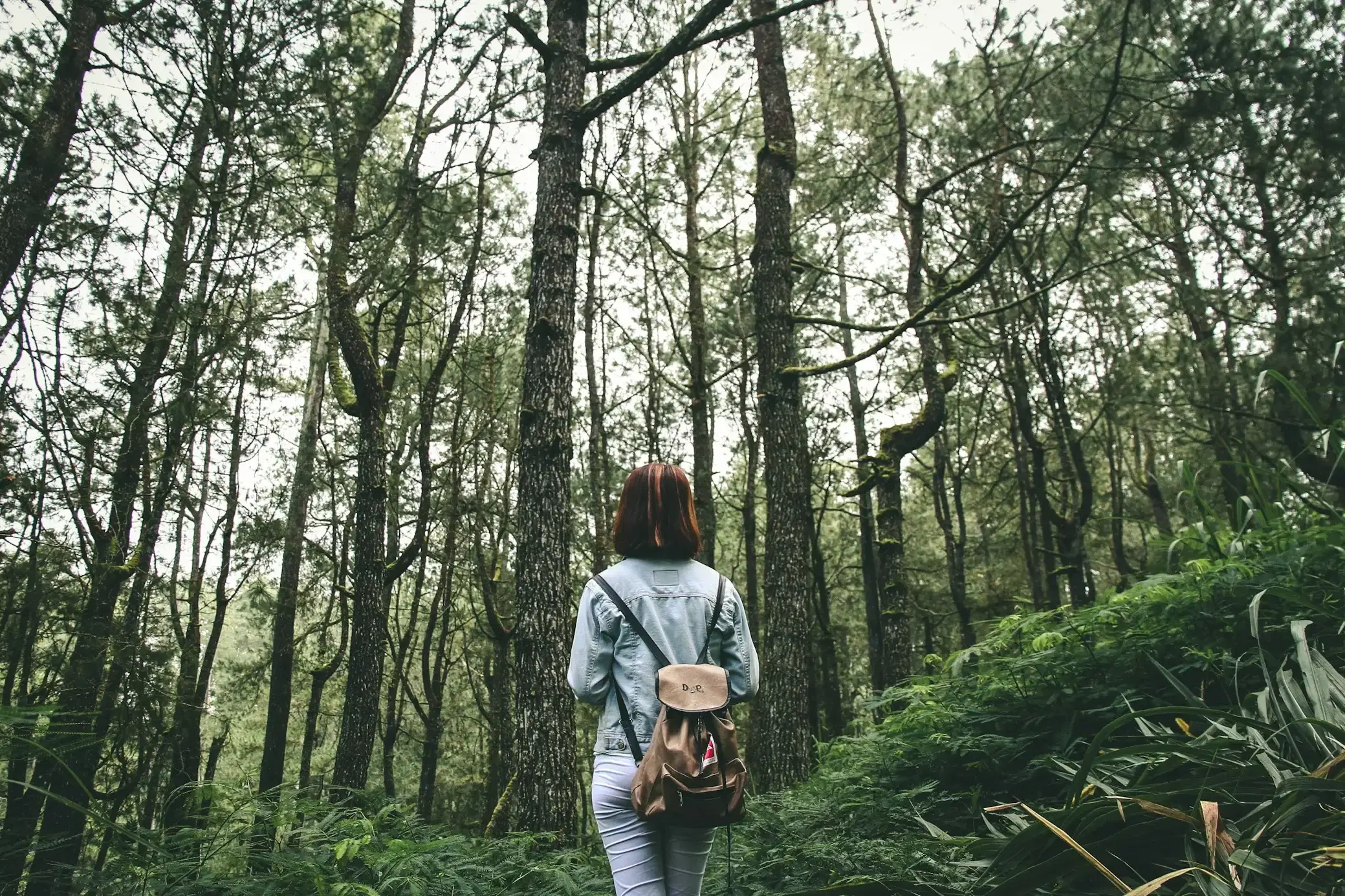 Nature Walks