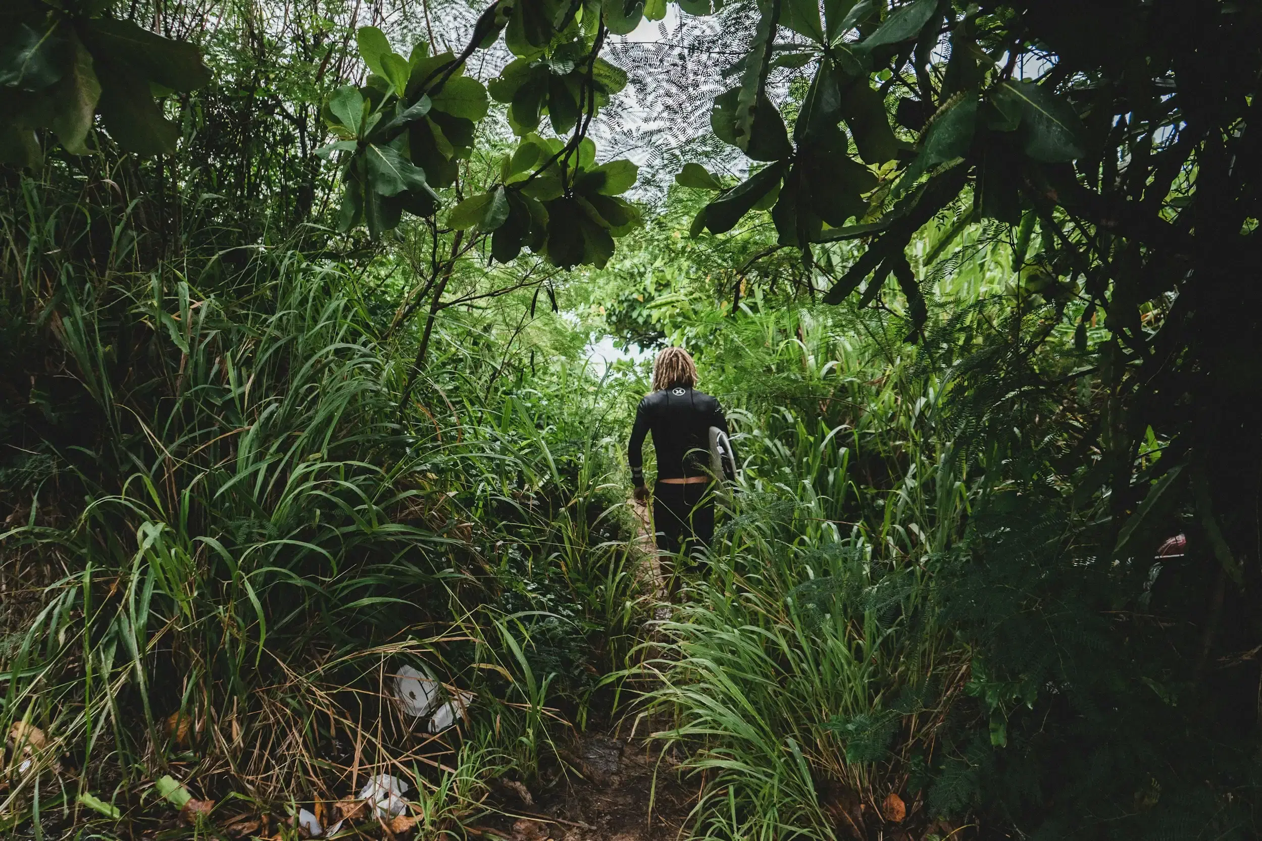 Nature Walks