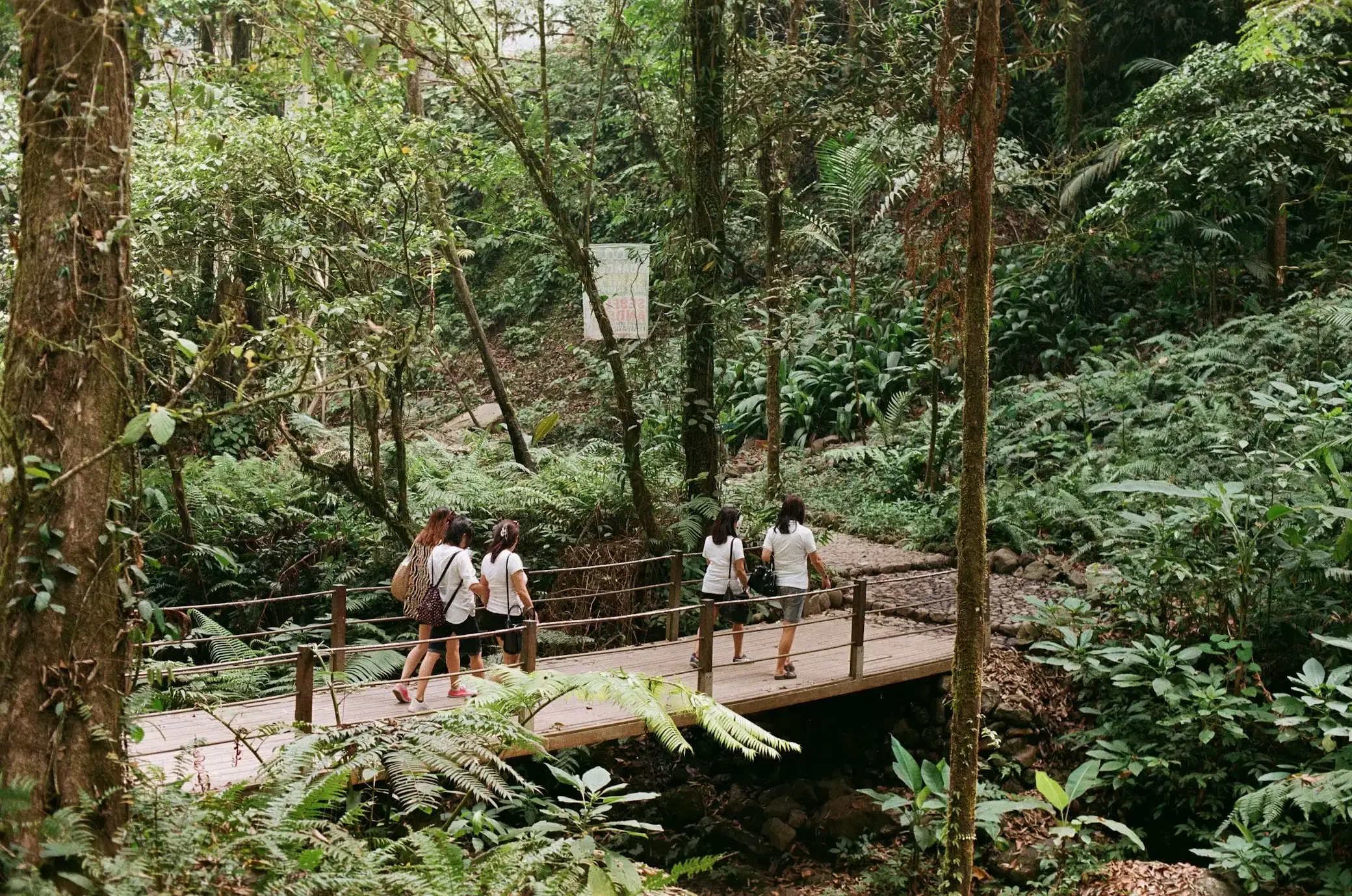 Nature Walks