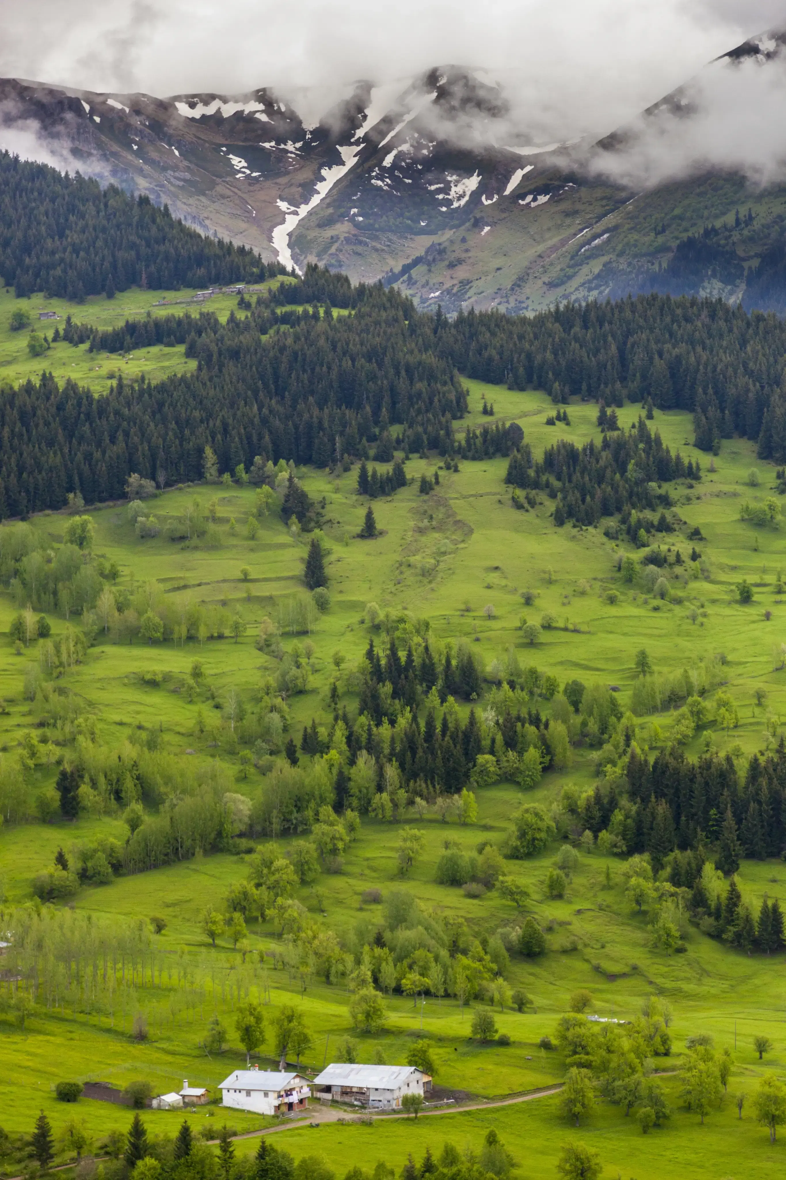 Kangra Valley